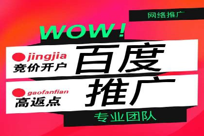 百度推广运营技巧揭秘：实战案例分析
